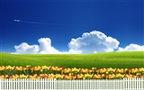Photoshop sunny summer landscape wallpaper (1) #18