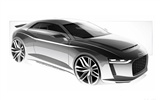 Concept Car Audi quattro - 2010 奥迪24