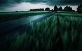 Dark color landscape wallpaper (2) #6