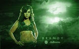 NBA 2010-11 season, the Celtics cheerleaders wallpaper #6