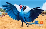 Rio 2011 wallpapers