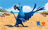 Rio 2011 Hintergrundbilder #2