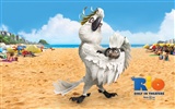 Rio 2011 里約大冒險 壁紙專輯 #12