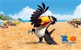 Rio 2011 wallpapers #18