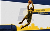 NBA 2010-11 season Indiana Pacers Wallpapers #2