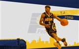 NBAの2010〜11シーズンのインディアナペイサーズ壁紙 #5