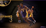 NBA 2010-11 시즌, 로스 앤젤레스 레이커스 배경 화면 #4