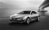 Concepto de coches BMW Serie 6 Coupé - 2010 fondos de escritorio de alta definición