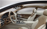 Concept Car BMW 6-Series Coupe - 2010 宝马15
