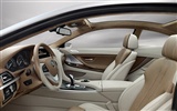 Concept Car BMW 6-Series Coupe - 2010 寶馬 #15