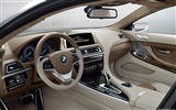 コンセプトカーBMWの6シリーズクーペ-2010のHDの壁紙 #16