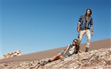 Brazilian brand Damyller 2011 summer ad #12