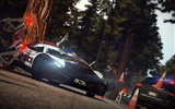 Need for Speed: Hot Pursuit 極品飛車14：熱力追踪 #7