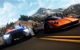 Need for Speed: Hot Pursuit #9