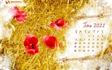 Juni 2011 Kalender Wallpaper (2) #6