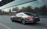 Mercedes-Benz CLS63 AMG - 2010 奔驰12