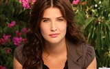 Cobie Smulders 寇碧·史莫德斯 美女壁紙 #8