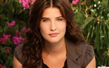 Cobie Smulders hermosos fondos de escritorio #10