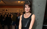 Cobie Smulders beau fond d'écran #14