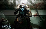 Dead Space 2 HD wallpapers #11