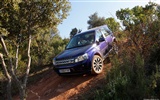 Land Rover Freelander 2-2011 HD tapetu #11