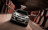 Mazda CX-7 - 2010 HD papel tapiz #58