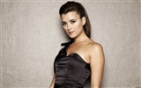 Cote de Pablo krásnou tapetu #1