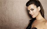 Cote de Pablo schöne Tapete #3