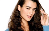 Cote de Pablo hermoso fondo de pantalla #12