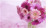 Widescreen wallpaper flowers close-up (33) #3