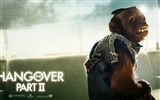 The Hangover Partie II wallpapers #7