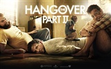 The Hangover Part II 宿醉2 壁纸专辑9
