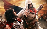 Assassins Creed: La Hermandad HD fondos de pantalla #5