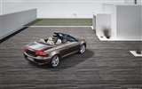 Volkswagen Eos - 2011 HD wallpaper #5