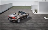 Volkswagen Eos - 2011 HD papel tapiz #5