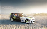 DiRT 3 HD Wallpaper #6