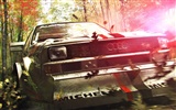 DiRT 3 fondos de pantalla HD #14