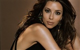 Eva Longoria 伊娃·朗格利亞美女壁紙(二) #5
