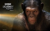 Rise of the Planet of the Apes 猿族崛起壁紙專輯