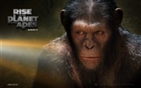 Rise of the Planet of the Apes 猿族崛起 壁纸专辑