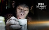 Rise of the Planet of the Apes 猿族崛起壁紙專輯 #3