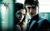 2011 Harry Potter a Relikvie smrti HD tapety na plochu #3