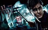 2011 Harry Potter und die Heiligtümer des Todes HD Wallpaper #8