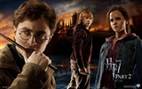 2011 Harry Potter and the Deathly Hallows HD wallpapers #9