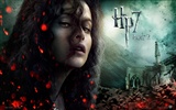2011 Harry Potter a Relikvie smrti HD tapety na plochu #10