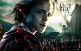 Harry Potter and the Deathly Hallows 哈利·波特與死亡聖器 高清壁紙 #12