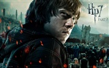 Harry Potter and the Deathly Hallows 哈利·波特与死亡圣器 高清壁纸14