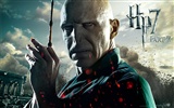 2011 Harry Potter a Relikvie smrti HD tapety na plochu #16