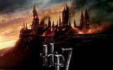 2011 Harry Potter et le Reliques de la Mort HD wallpapers #17