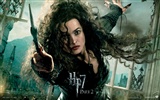 2011 Harry Potter a Relikvie smrti HD tapety na plochu #18